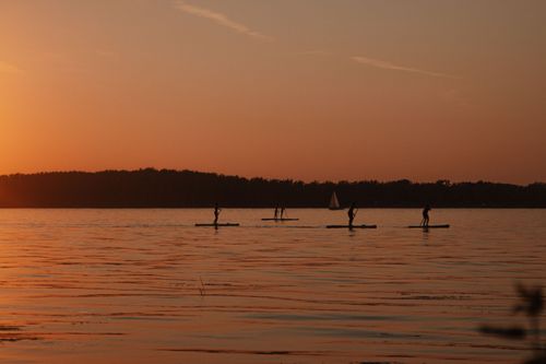 Free Silhouette of people paddleboarding on a serene lake during sunset with a sailboat in the background. Stock Photo