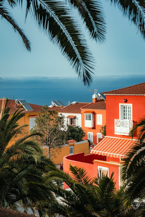 Buildings, Sea and Palm Trees