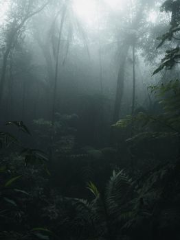Ethereal fog envelops a lush, verdant forest, creating a serene and mystical atmosphere.