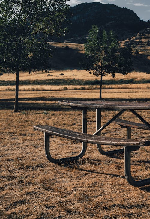 A Picnic Table on the Grass