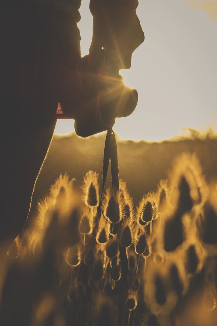 Hand Holding A Camera In A Field