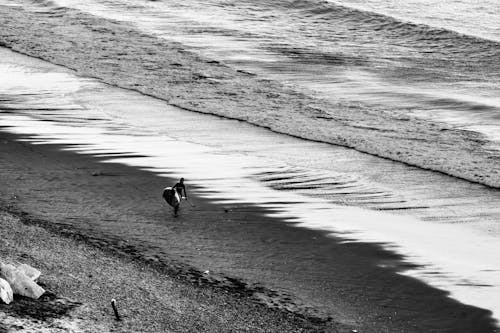 A Person Carrying Surfboard Walking on the Beach