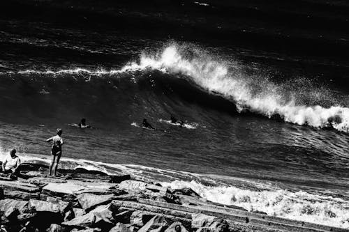 Gratis stockfoto met eenkleurig, gebied met water, golven