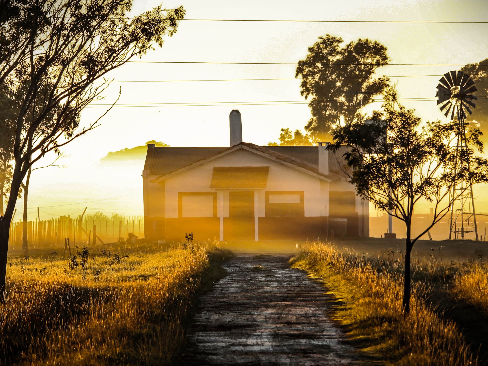 House Removals in Freshwater, South East — professional movers carrying furniture on a house move