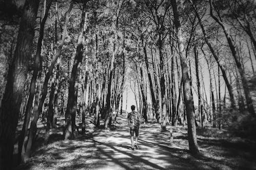 Grayscale Photo of a Man Walking Between Trees