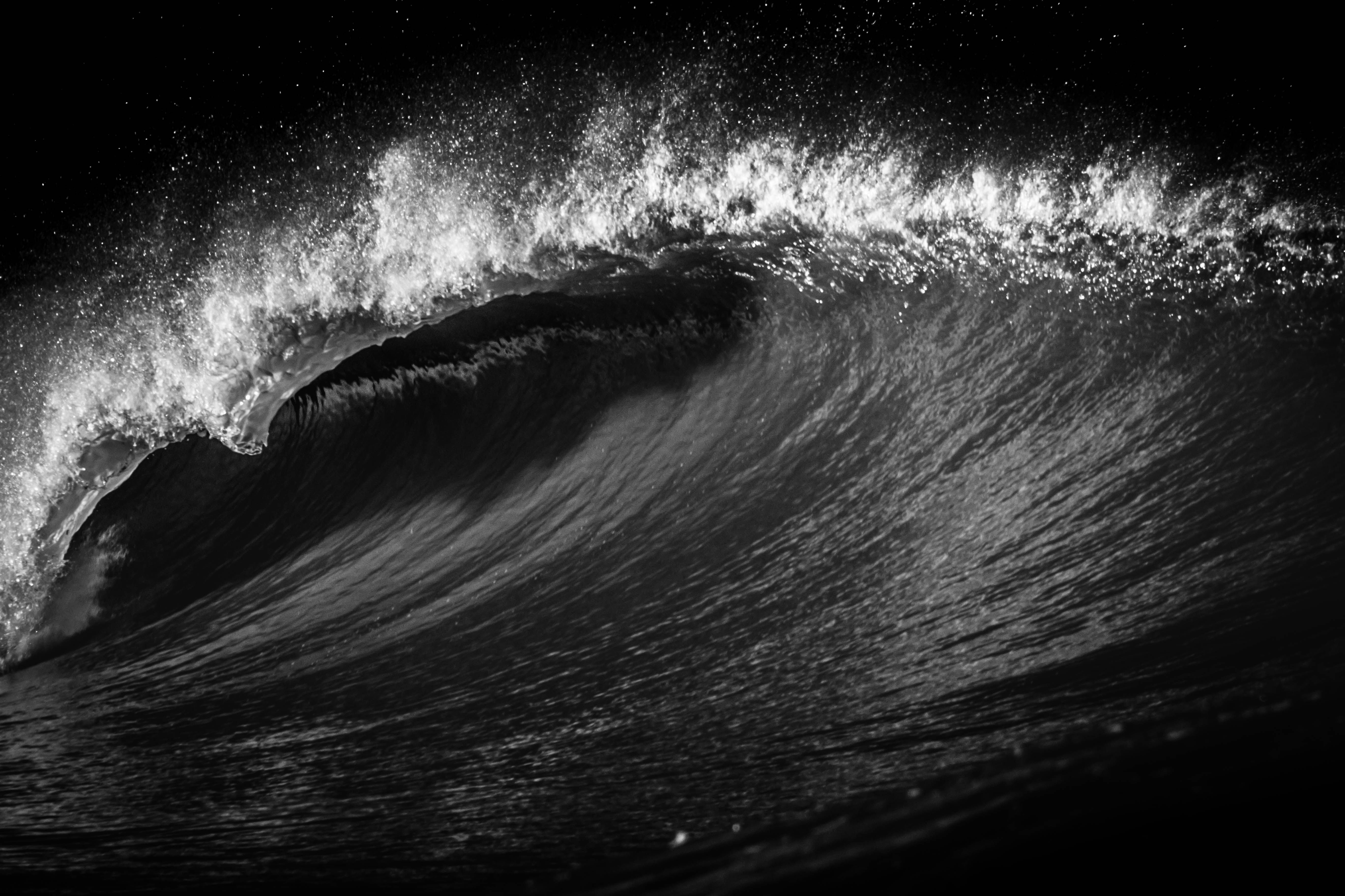 Le Rythme des Vagues pour une Vie Organisée
