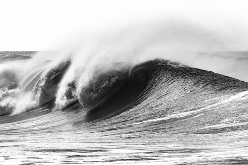 Fotos de stock gratuitas de blanco y negro, costa, decir adiós con la mano