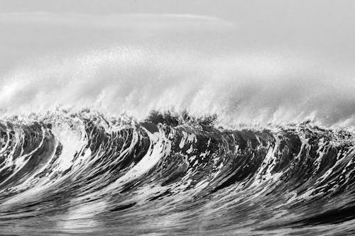 dalga, deniz, gri tonlama içeren Ücretsiz stok fotoğraf