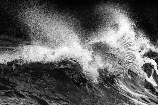 Powerful ocean wave crashing with splashing water captured in high contrast black and white.