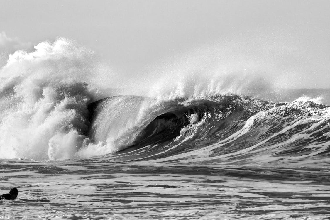 Darmowe zdjęcie z galerii z czarno-biały, fale oceanu, fotografia przyrodnicza