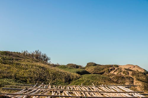 Gratis lagerfoto af bakke, bambuspoler, blå himmel