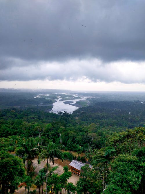 Bezpłatne Darmowe zdjęcie z galerii z amazonka, bujny, dolina Zdjęcie z galerii