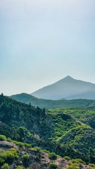 Beautiful lush landscape of Tenerife with mountains and green foliage under a clear sky.