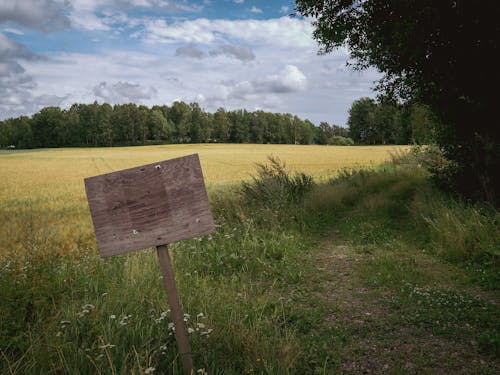 A Blank Wooden Post on Grassland