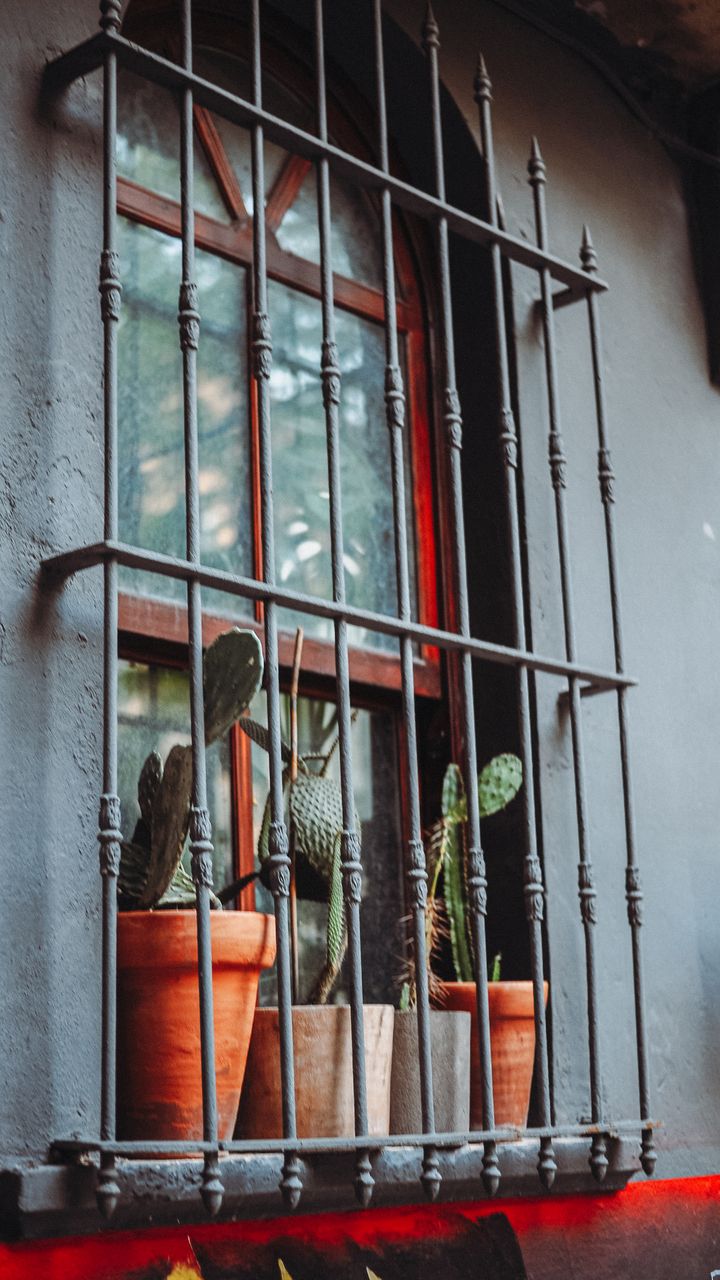 small corner coffee bar with potted succulents on the counter next to a coffee maker