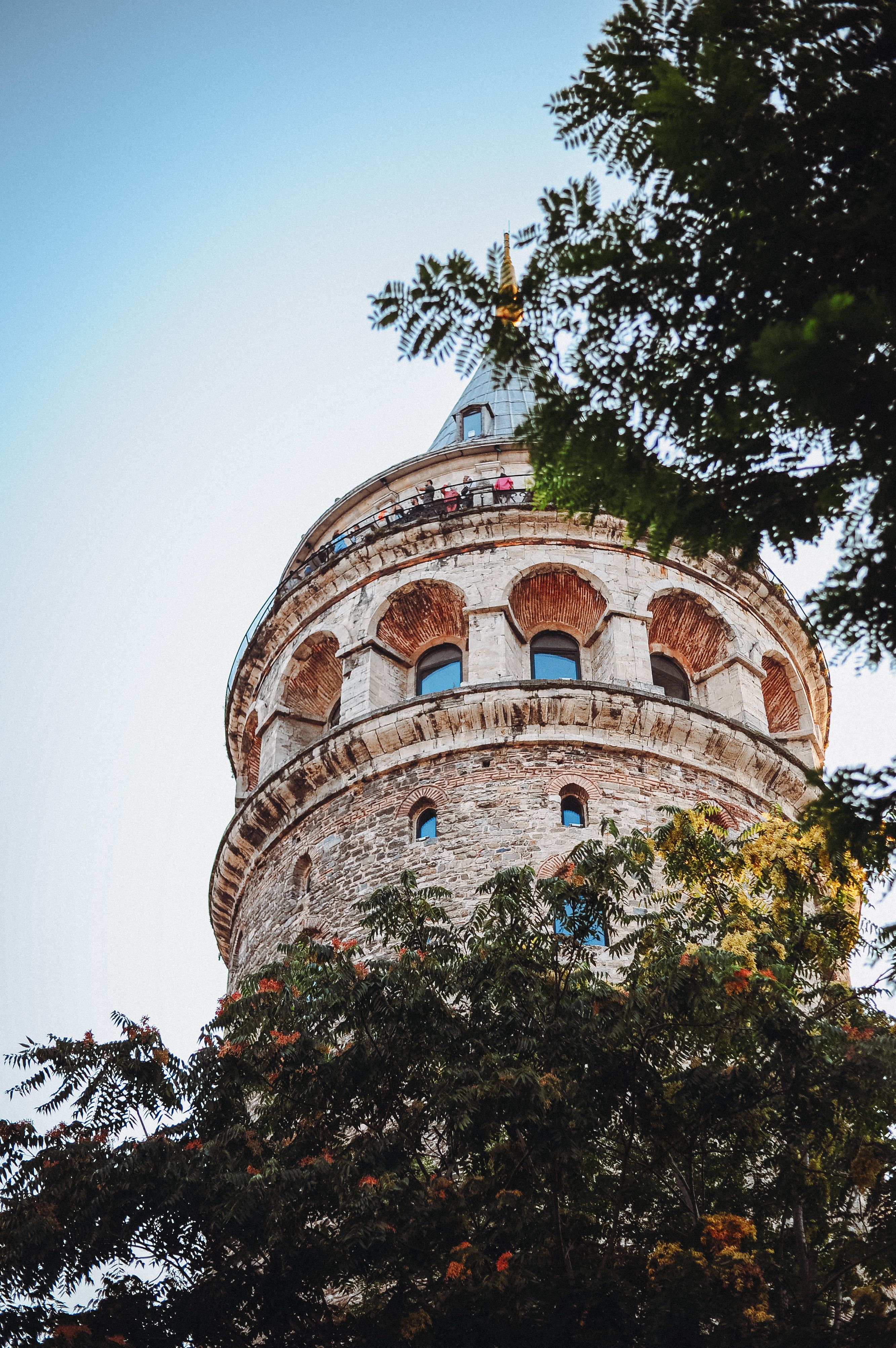Scenic view of the historic Galata Tower peeking through trees in Istanbul at daylight.