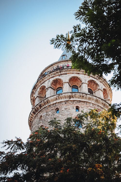 Gratis Immagine gratuita di alberi, Istanbul, persone Foto a disposizione