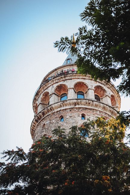 Scenic view of the historic Galata Tower peeking through trees in Istanbul at daylight.