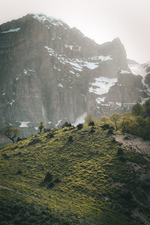 Luz De La Tarde En Las Montañas