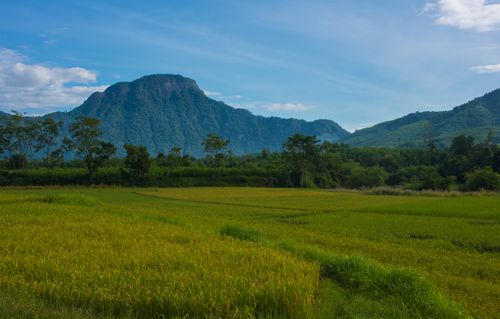 Free Serene landscape of green fields with a majestic mountain under a clear blue sky. Stock Photo