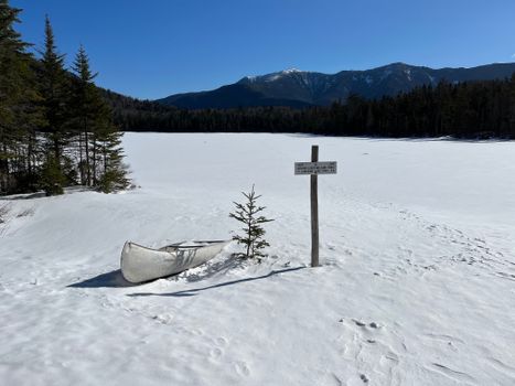 Frozen Lake in the Forest