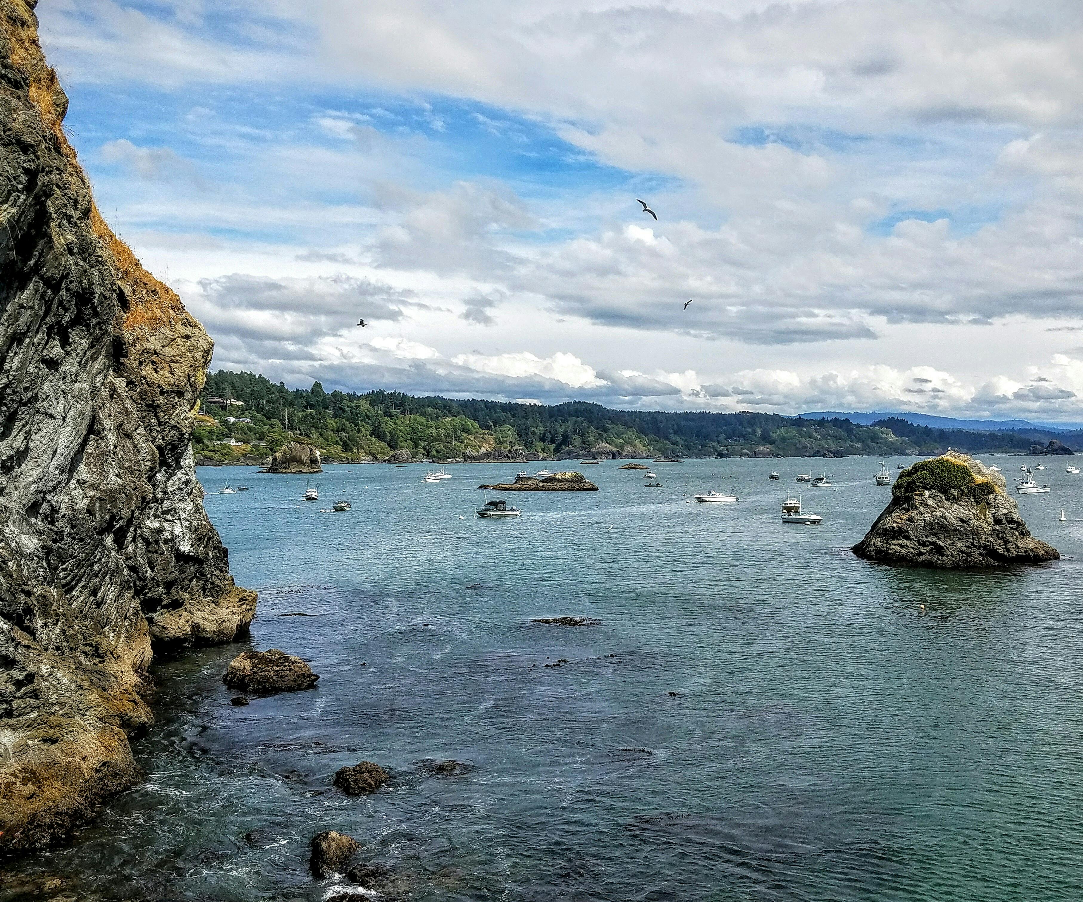 カリフォルニアの海岸 カリフォルニア州トリニダードの無料の写真素材