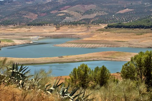 Free Discover the serene beauty of Iznájar's reservoir and olive groves in Andalusia, Spain. Stock Photo