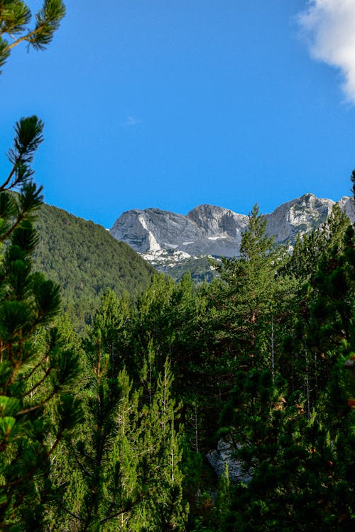 Kostenlos Kostenloses Stock Foto zu bäume, felsiger berg, landschaft Stock-Foto