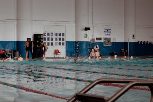 People Swimming in the Swimming Pool