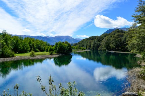 Scenic Nature on a Placid Lake