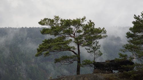 산의 경치의 무료 스톡 사진