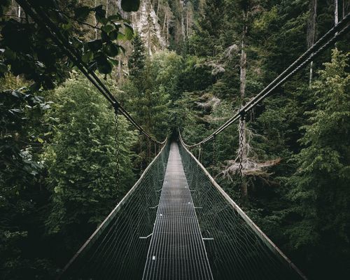 Free A suspension bridge surrounded by dense green forest, perfect for adventure seekers. Stock Photo