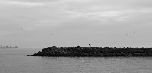 Grayscale Photo of a Person Standing on Breakwater