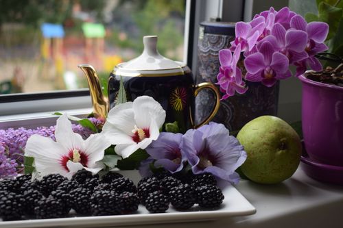 Free A colorful still life featuring blackberries, orchids, a teapot, and a pear on a windowsill. Stock Photo