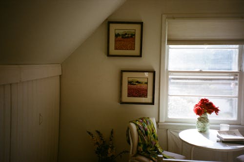 Darmowe zdjęcie z galerii z architektura, białe ściany, czerwone kwiaty