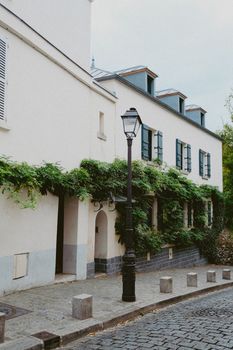 Street view of classic European architecture with green vines and lamppost, perfect for urban exploration imagery.