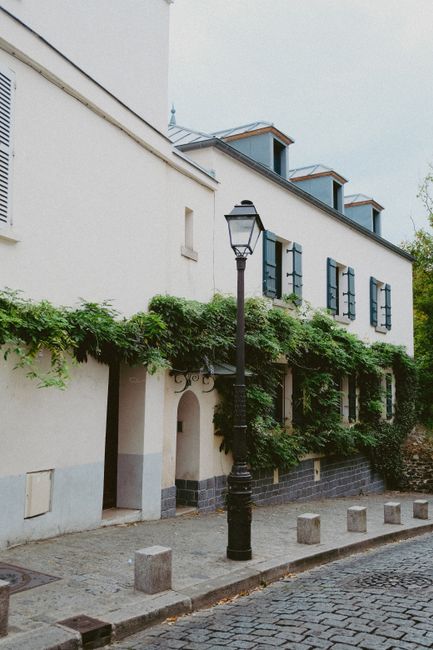 Street view of classic European architecture with green vines and lamppost, perfect for urban exploration imagery.