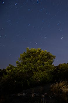 Beautiful nightscape with star trails over a lush forest in Croatia.