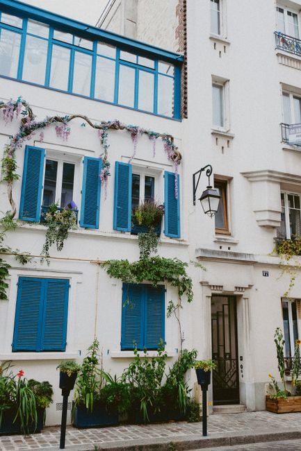 Elegant building exterior with blue shutters, lush greenery, and blooming vines for a cozy urban vibe.