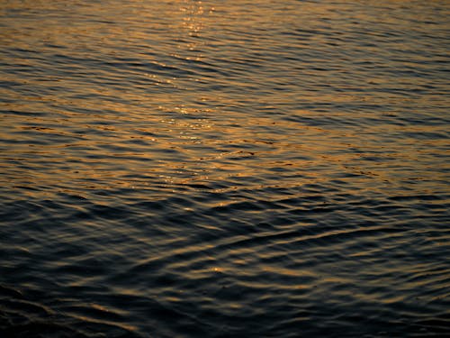 Waves on Water Surface