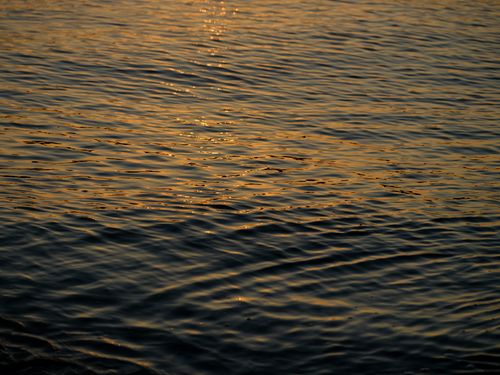 Free A captivating close-up of gentle waves reflecting a golden sunset on a tranquil water surface. Stock Photo