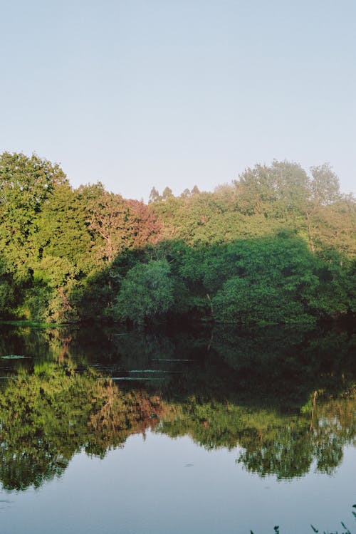 Gratis stockfoto met bomen, buiten, gebied met water