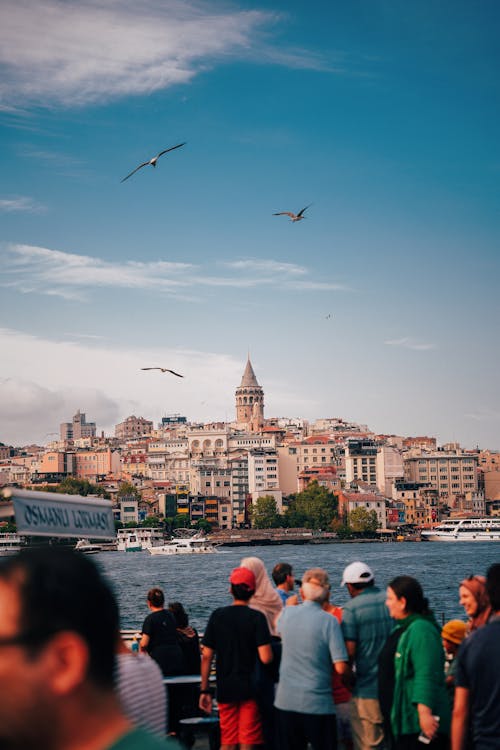 Birds Flying above Bosphorus Strait