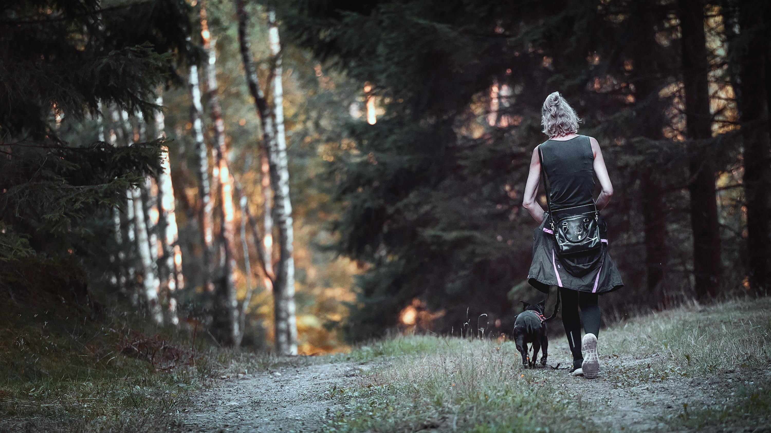 Dogs as Lifestyle Companions: What This Means for Brands &amp; Retailers — Photo by Martin Dalsgaard on Pexels