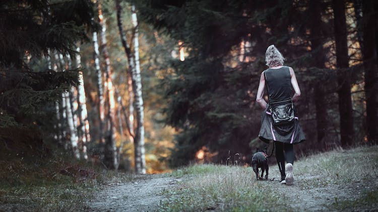 Back View Of A Woman Walking With A Black Dog