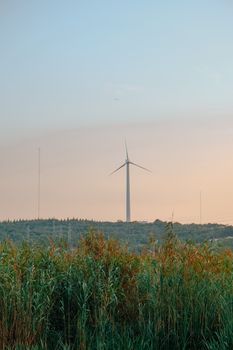 White Wind Turbines on Green Grass Field Under Gray Sky