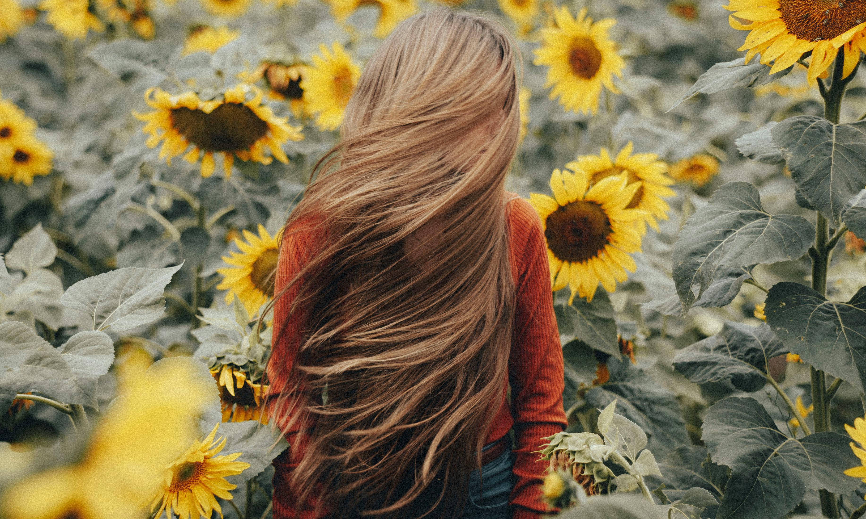 Girl with Long Hair on a Sunflower Field · Free Stock Photo