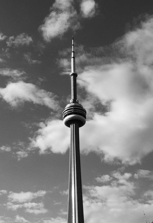Fotobanka s bezplatnými fotkami na tému čiernobiely, čierny a biely, CN Tower