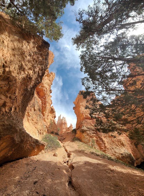 Foto profissional grátis de aventura, bryce canyon national park, céu azul