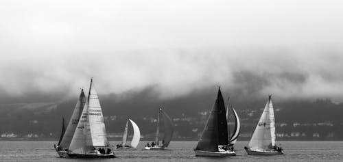 Grayscale Zdjęcie Sailboats